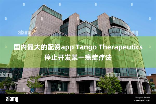 国内最大的配资app Tango Therapeutics停止开发某一癌症疗法