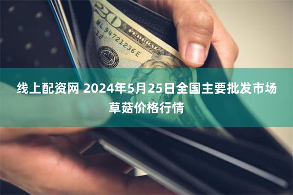 线上配资网 2024年5月25日全国主要批发市场草菇价格行情