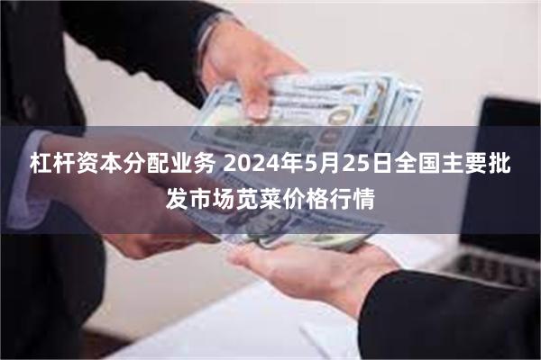 杠杆资本分配业务 2024年5月25日全国主要批发市场苋菜价格行情