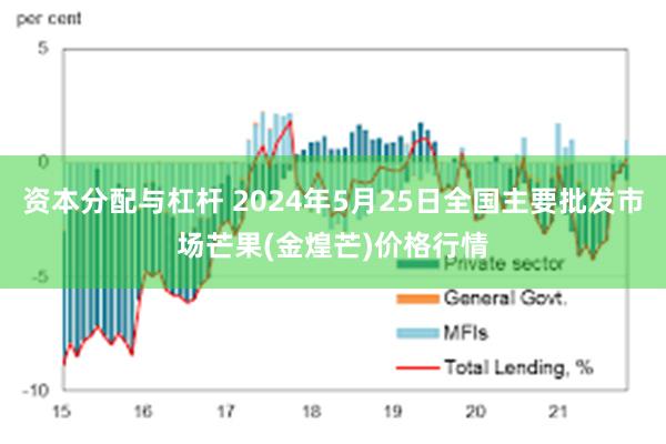 资本分配与杠杆 2024年5月25日全国主要批发市场芒果(金煌芒)价格行情