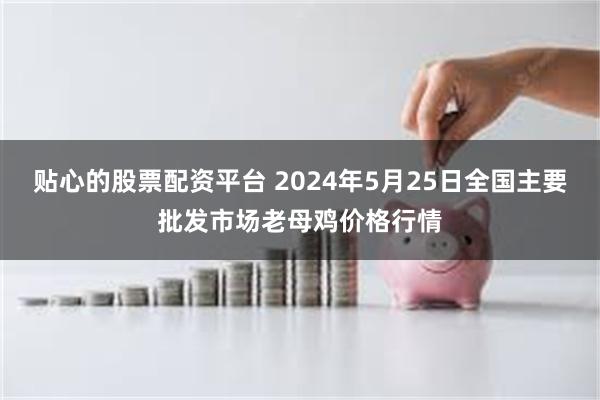 贴心的股票配资平台 2024年5月25日全国主要批发市场老母鸡价格行情