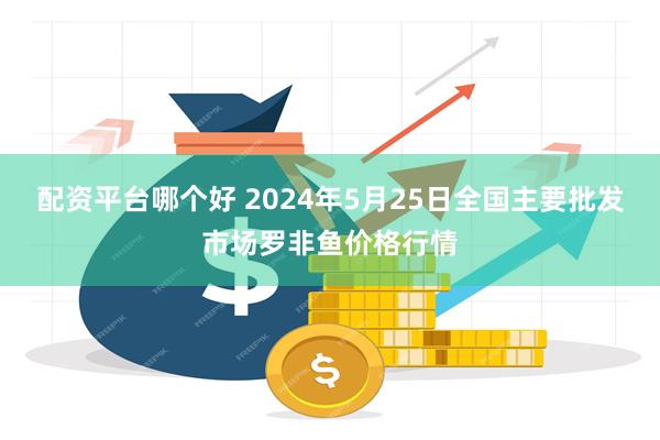 配资平台哪个好 2024年5月25日全国主要批发市场罗非鱼价格行情