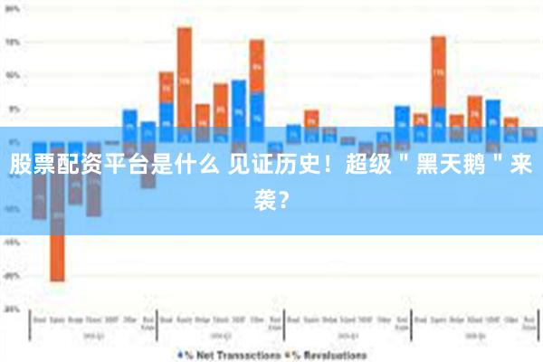 股票配资平台是什么 见证历史！超级＂黑天鹅＂来袭？