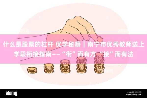 什么是股票的杠杆 优学秘籍｜南宁市优秀教师送上学段衔接指南——“衔”而有方 “接”而有法