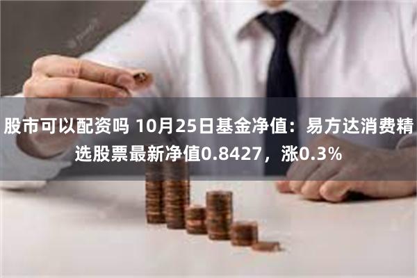 股市可以配资吗 10月25日基金净值：易方达消费精选股票最新净值0.8427，涨0.3%