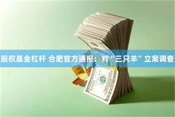 股权基金杠杆 合肥官方通报：对“三只羊”立案调查