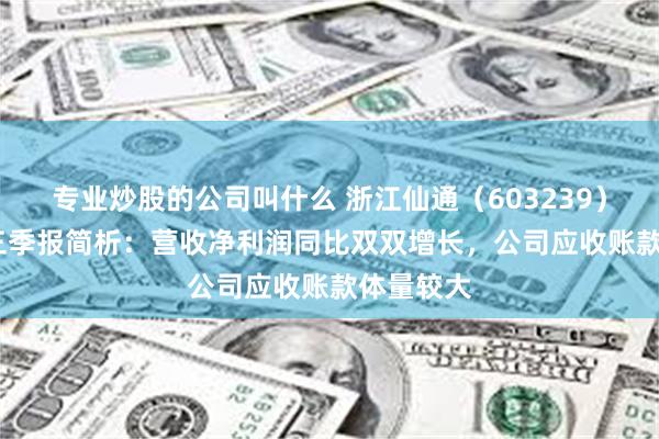 专业炒股的公司叫什么 浙江仙通（603239）2024年三季报简析：营收净利润同比双双增长，公司应收账款体量较大