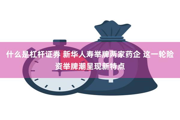 什么是杠杆证券 新华人寿举牌两家药企 这一轮险资举牌潮呈现新特点