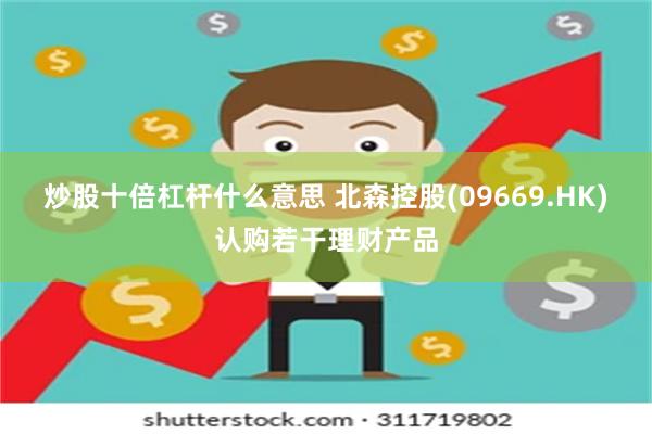 炒股十倍杠杆什么意思 北森控股(09669.HK)认购若干理财产品