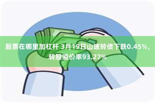 股票在哪里加杠杆 3月19日山玻转债下跌0.45%，转股溢价率93.27%